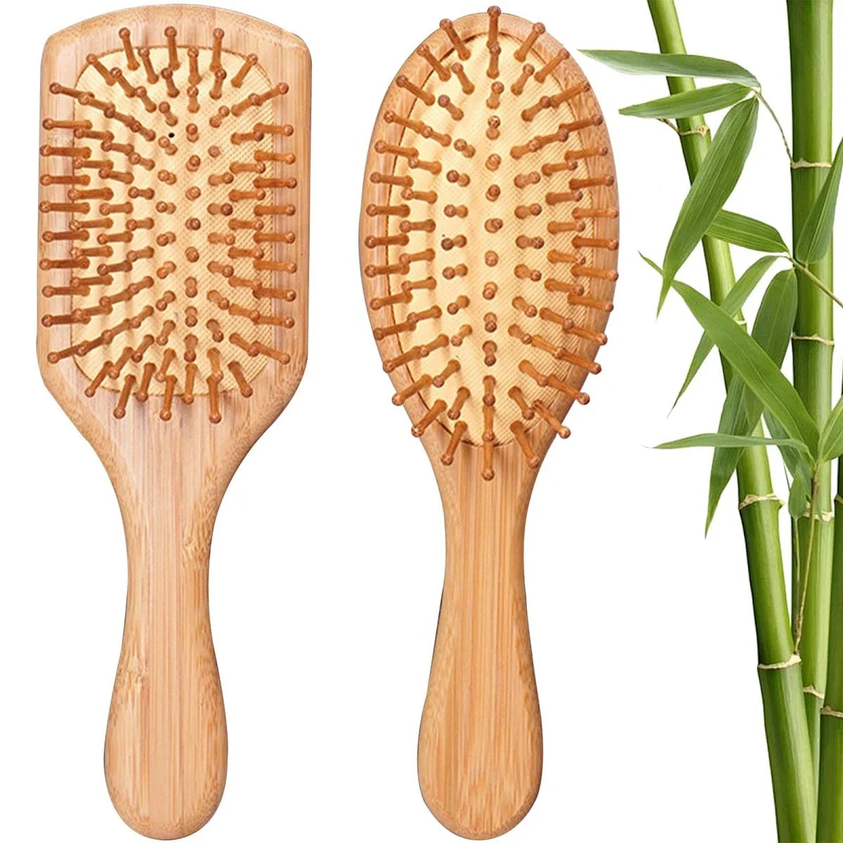 Bamboo
